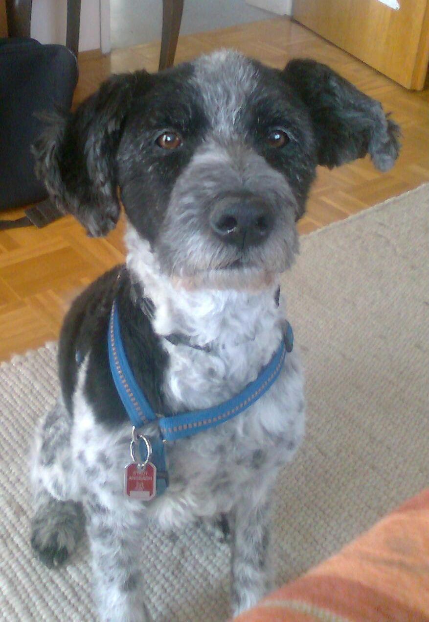 benny